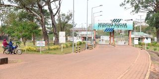 MUMIAS
