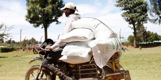 DNNAXFERTILISER3009d
