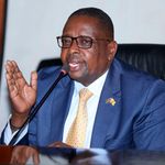 DNBungeVetting3011f