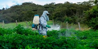BDPesticidespray