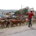 DNNAXDROUGHT2810d