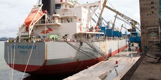 DNCOASTMAIZE1505B