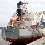 DNCOASTMAIZE1505B