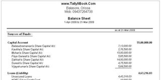 BVZBalanceSheet