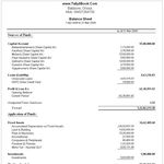 BVZBalanceSheet