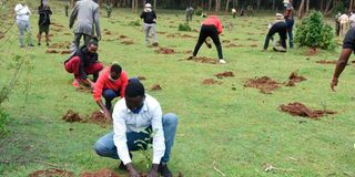 planting2