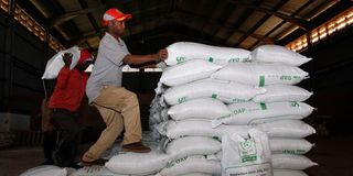 DNNAXFERTILISER1110m