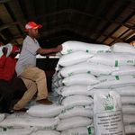 DNNAXFERTILISER1110m