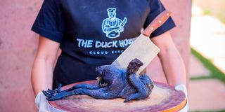 DuckHouse4