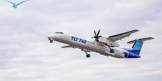 pic-flight