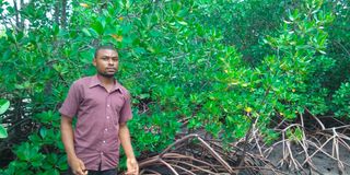BDCARBONCREDIT