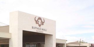 BdBuffalo2
