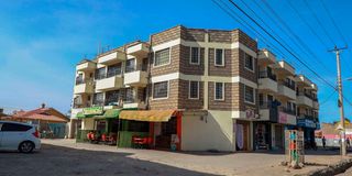 BDSyokimauo (1)