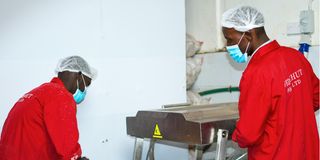 Workers at Wedgehut Company in Ruiru.