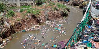 DNNairobiRiver0504re