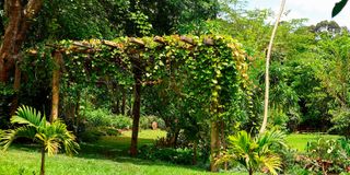 BDARJUN0105 (2)