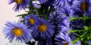 BDLBOUQUET