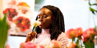 BDFlowers