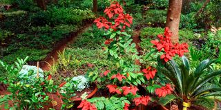 BDBenjaminGardene