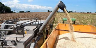 DnEldMaize2510i