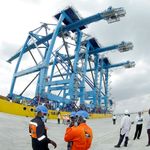 DNCOASTKPACRANES1101B