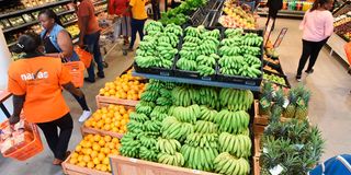 DnEldNaivas0909g