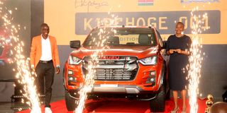 dnsportskipchoge2505gy