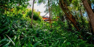 BDLNatureGardenl