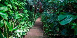 BDLNatureGardeno