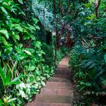 BDLNatureGardeno