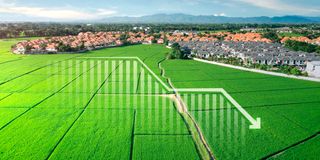 BDRealestate