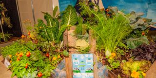 BDGARDENEXPOl