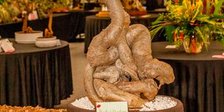 BDGARDENEXPOzz