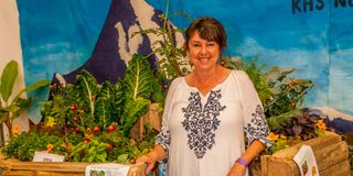 BDGARDENEXPOk