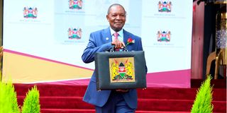 DNBudget1506ke
