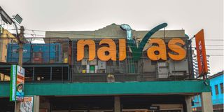 DNNaivas0207