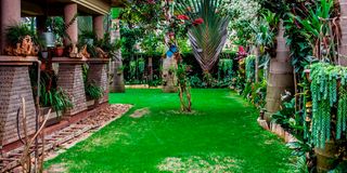 BDLGARDENKIMBOq
