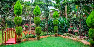 BDLGARDENKIMBOn