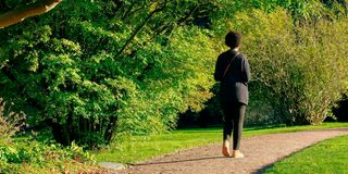 BDFORESTWALK1
