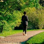 BDFORESTWALK1