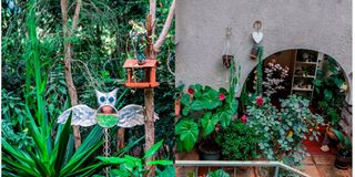 Untitled design (12)