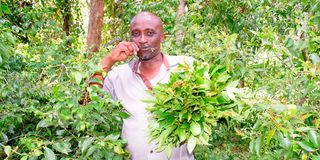 dnMunyaMiraa1006JG