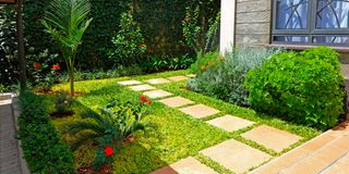 BDLOtienoGardene