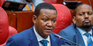 DNBungeMutua2405br