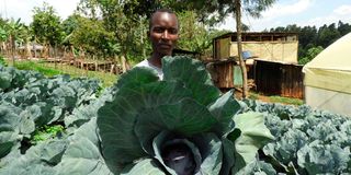 SMEHorticultureud
