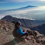 dnrosekimondo0809(3)