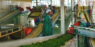 EAFoodprocessing3