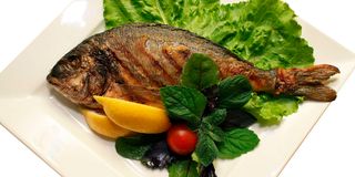 tf3105fish