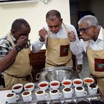 DNCOASTTEAEXPORT2801E (1)