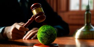 BDCLIMATECHANGECOURT